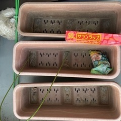 【お渡し完了】植木鉢　各種