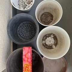 【お渡し完了】植木鉢　各種の画像