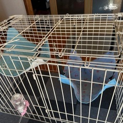 猫グッズ一色の画像