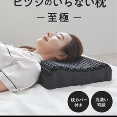 美中古品☆大人気☆丸洗い可能☆ヒツジのいらない枕☆至極☆の画像