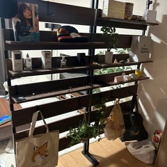 ウォールラックの画像