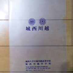 【2024年度】城西大学付属川越高校 スーパー過去問【5年間】の画像