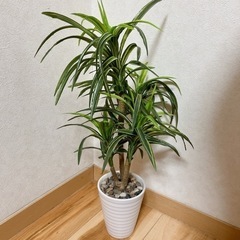 【美品】人工観葉植物 造花  縦60cm