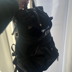 超小型犬・子犬用キャリーリュックの画像