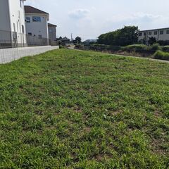 杉戸町　家庭菜園用土地　貸地　月額4,200円　