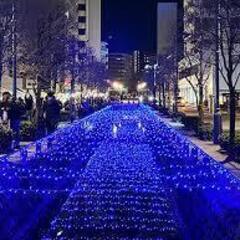 １２月２９日（日）熊谷の冬を彩る星川イルミネーションと寺社めぐり...