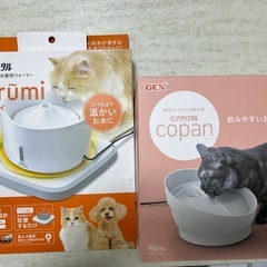 ヌルーミィとコパンのセット