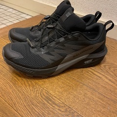 SALOMON SENSE RIDE 5 GTX black 2...