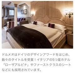 ドルメオ　エアースプリング　マットレス　　　　の画像