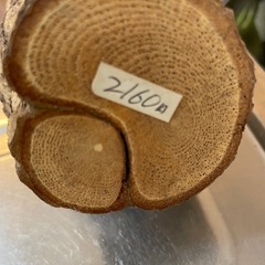 招き猫・置き物の画像