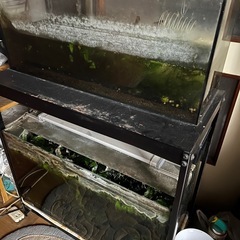 水槽　2点　60cm