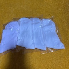 薄手の靴下10足