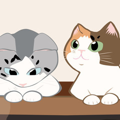 一人暮らしで猫を飼うLINEグループ　-九州- 