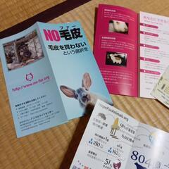 動物愛護チラシ　玄関前に貼っていただける方。 - 京都市