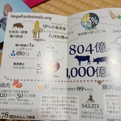 動物愛護チラシ　玄関前に貼っていただける方。 − 京都府