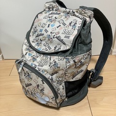【年末セール】ペットパラダイス　ペットリュック　
小型犬キャリー...