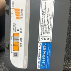 】ホットカーペット 大きい