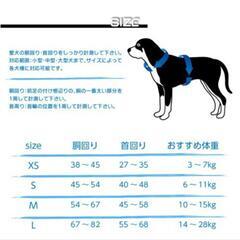 ハーネス　Sサイズの画像