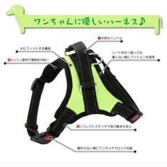ハーネス　Sサイズの画像