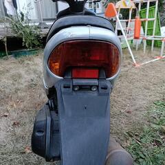 ホンダディオの画像