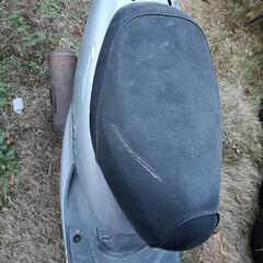 ホンダディオの画像