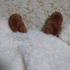 キッズ 帽子の画像