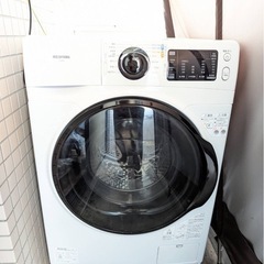 IRIS OHYAMA ドラム式洗濯機 FL81R