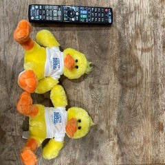 【もらってください】【引き取りに来れる方】アヒルぬいぐるみ