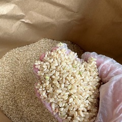 新米を味噌に‼️令和６年産　5キロ半年分の画像