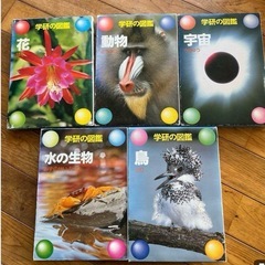 学研の図鑑　11冊セットの画像