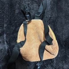 ワンちゃん用　小物　　の画像