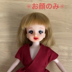 【受付終了】【観賞用】リカちゃんの画像