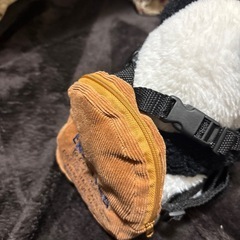 ワンちゃん用　小物　　の画像