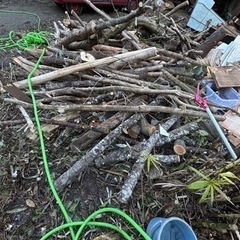 薪あげます！乾いてます！の画像