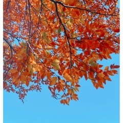 一緒に写真を楽しめる方！✨