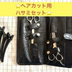 美容用ハサミセット クロコダイル風ケース付き