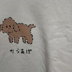 レディース　トレーナー　Lサイズの画像