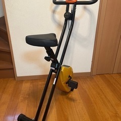 【受け渡し者と相談中】クロスバイク アルインコ FITNESS ...