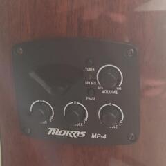 MORRIS アコギの画像