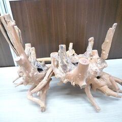 流木 ブランチウッド インテリア オブジェ テラリウム 横幅 約42cm 中古 苫小牧西店の画像