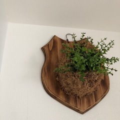 造花🍀オシャレ部屋にの画像