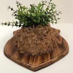 造花🍀オシャレ部屋にの画像