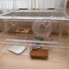 受け渡しの方が決まりました:ハムスター　　飼育セットの画像