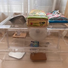 受け渡しの方が決まりました:ハムスター　　飼育セット