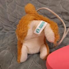 イワヤ リモコンでおさんぽ 犬 秋田犬 IWAYA お世話おもちゃの画像