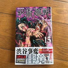 呪術廻戦15