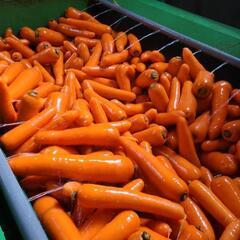 ぽんた様🥕にんじん評価専用🥕取引中の画像
