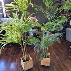 フェイク観葉植物の画像