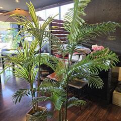 フェイク観葉植物の画像