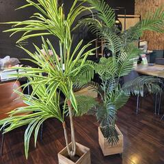 フェイク観葉植物の画像